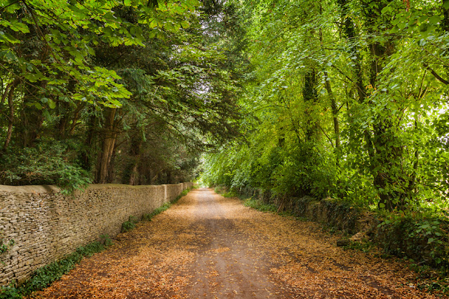 The path that runs alongside the Wychwood Wild Garden
