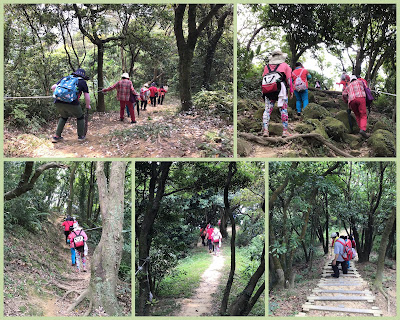 善妹好友團暢遊[鶯歌山] 為善最樂