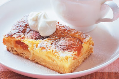 Apricot and coconut dessert slice recipe Apricot and coconut dessert slice recipe