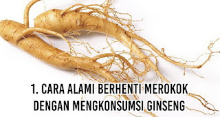 Cara Alami Berhenti Merokok dengan mengkonsumsi Ginseng