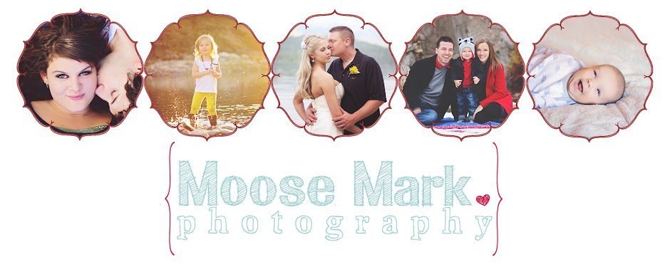 Moose Mark Photography