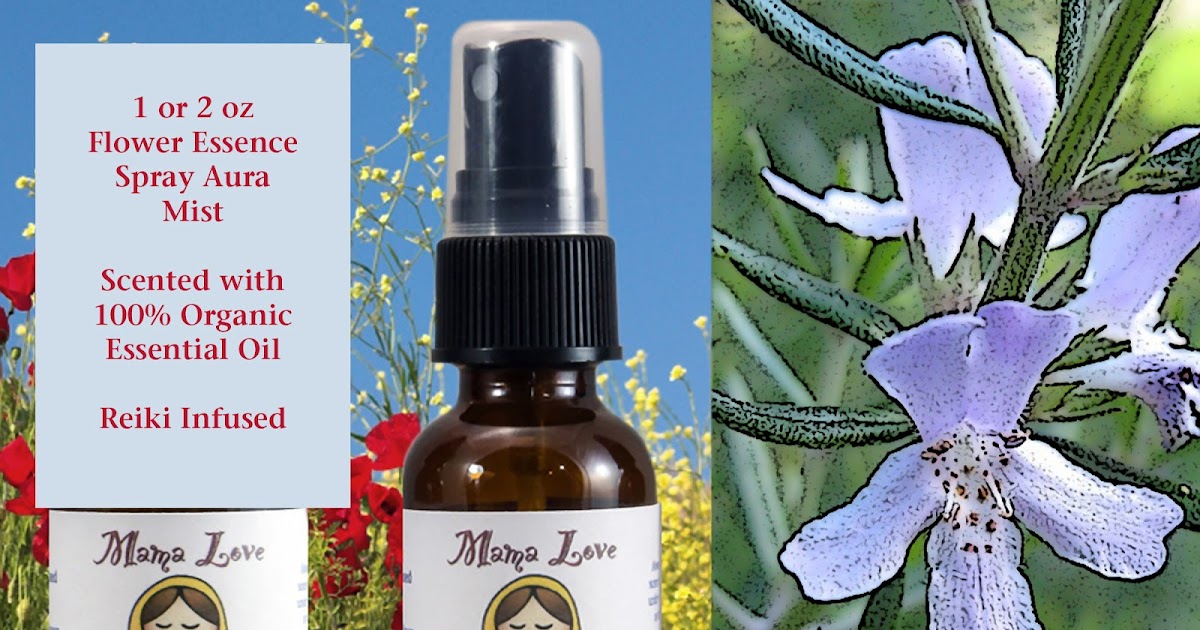 Scented Rosemary Flower Essence Spray for Feeling Grounded and Engaged