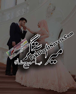 Mera Sitamgar Novel By Areej Shah Pdf Download Mera Sitamgar Novel By Areej Shah Pdf Download