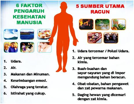 konsep kesehatan & kecantikan k-link: Faktor utama yang mempengaruhi ...