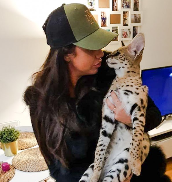 Cat Chit Chat You need a license to keep a serval in the UK