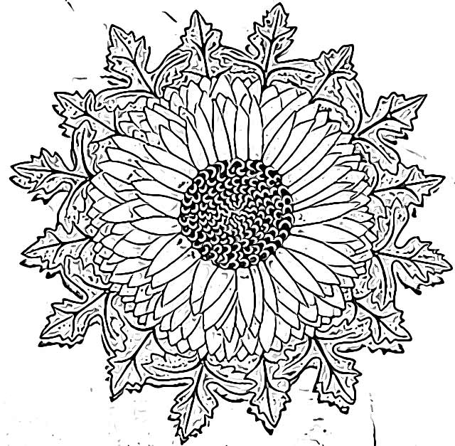 Children's mandala coloring pages holiday.filminspector.com