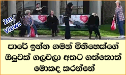 gossip lanka