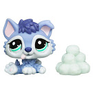 Littlest Pet Shop Singles Husky (#1810) Pet