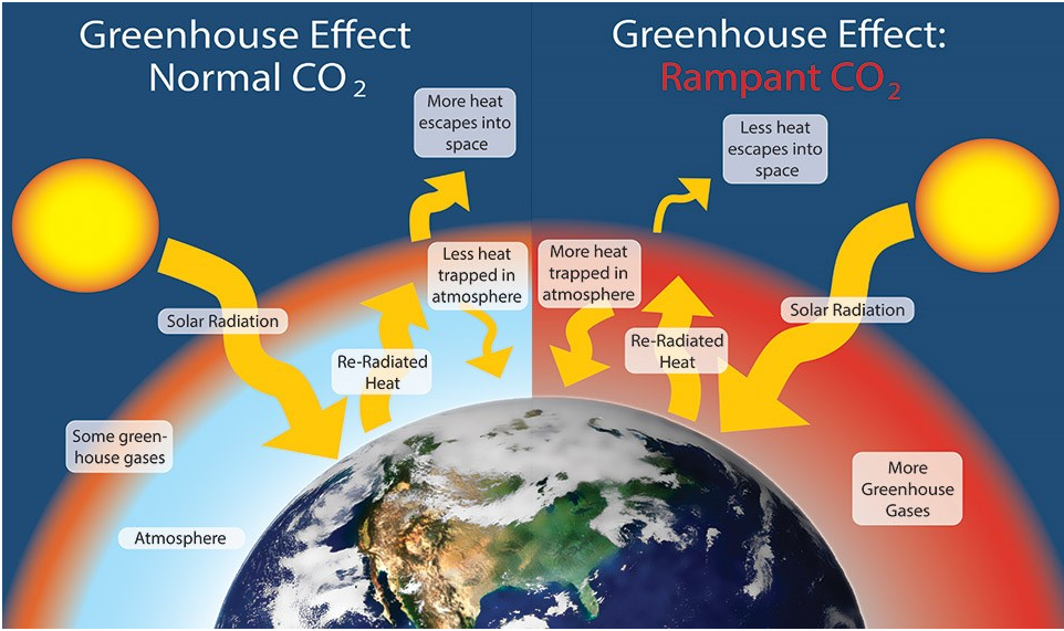 Mengapa Gas CO2 (karbon dioksida) disebut gas rumah kaca ? oceanID