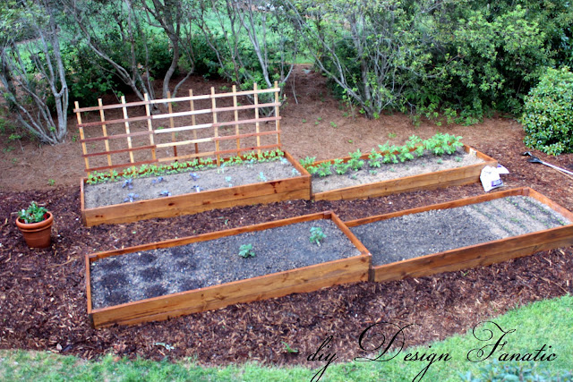 raised beds, raised beds on a slope, vegetable garden, building project, diyDesignFanatic.com