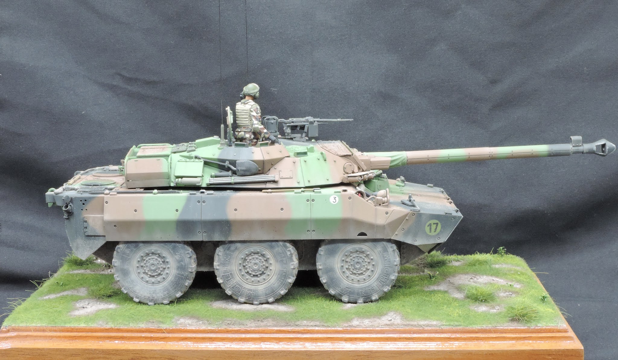 Pete's Model World : Tiger Models AMX-10 RCR Complete