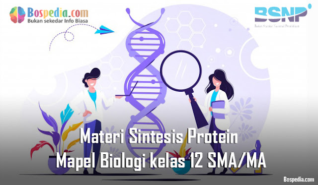 Materi Sintesis Protein Mapel Biologi kelas 12 SMA/MA