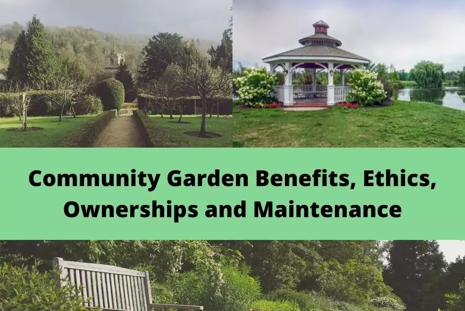 10 Benefits Of Community Garden For You 10-benefits-of-community-garden-for-you
