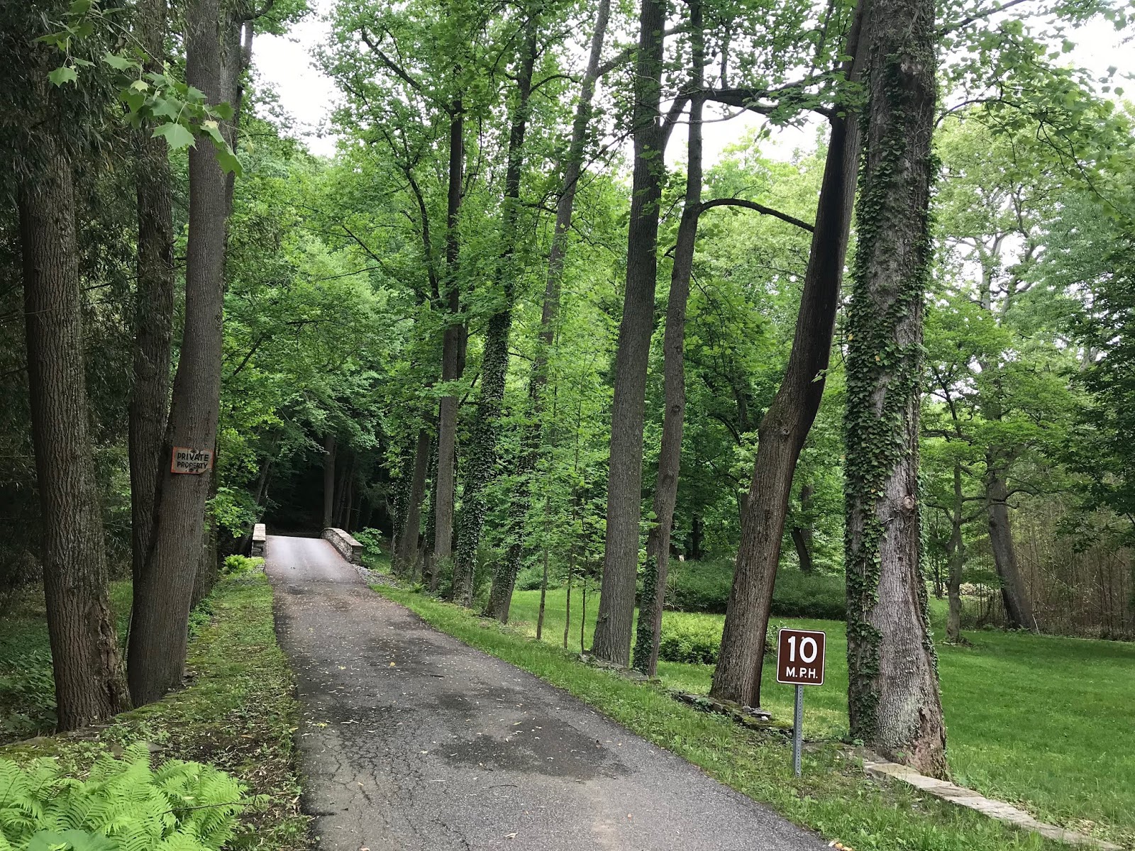 The Birdchaser Adventures in Birding A Book, A Culture, A Life