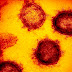 The coronavirus claims two Georgia health care workers