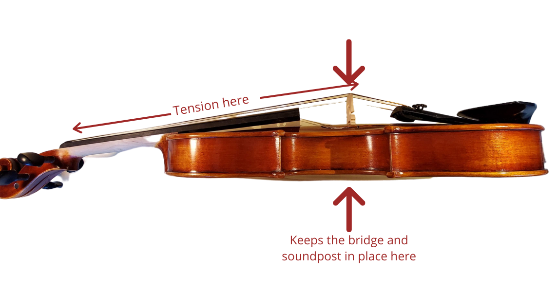 Germantown Violin Company How to change your instrument's strings