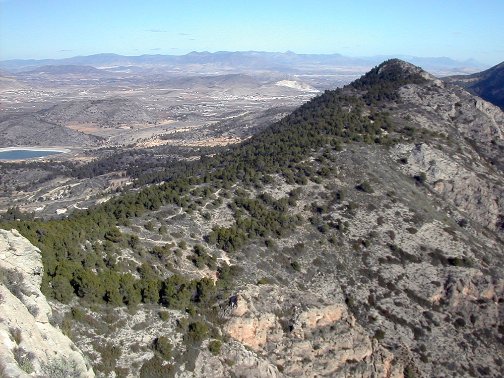Sierra de Crevillente