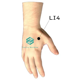 li4-acupressure-point-for-cold