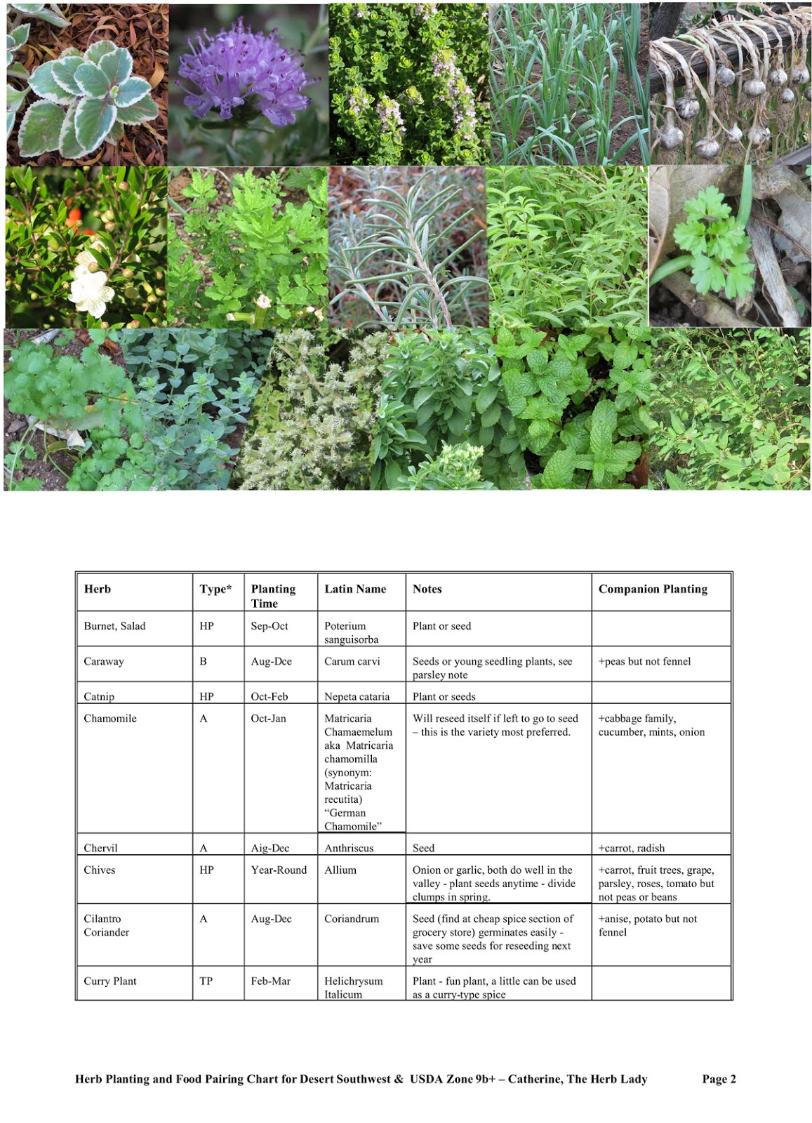 Herb Planting Chart / Herb Food Pairing