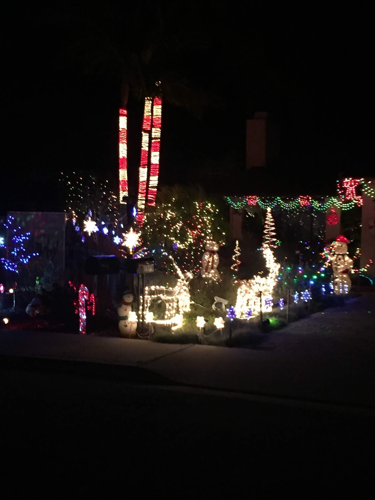 Santa Barbara Sights and Events Christmas Lights in Santa Barbara