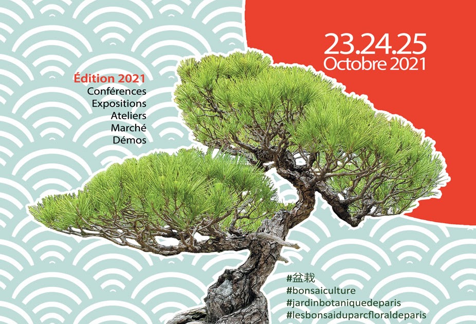 Esprit Bonsaï [EXPO] Retrouveznous à Bonsai Culture au parc Floral