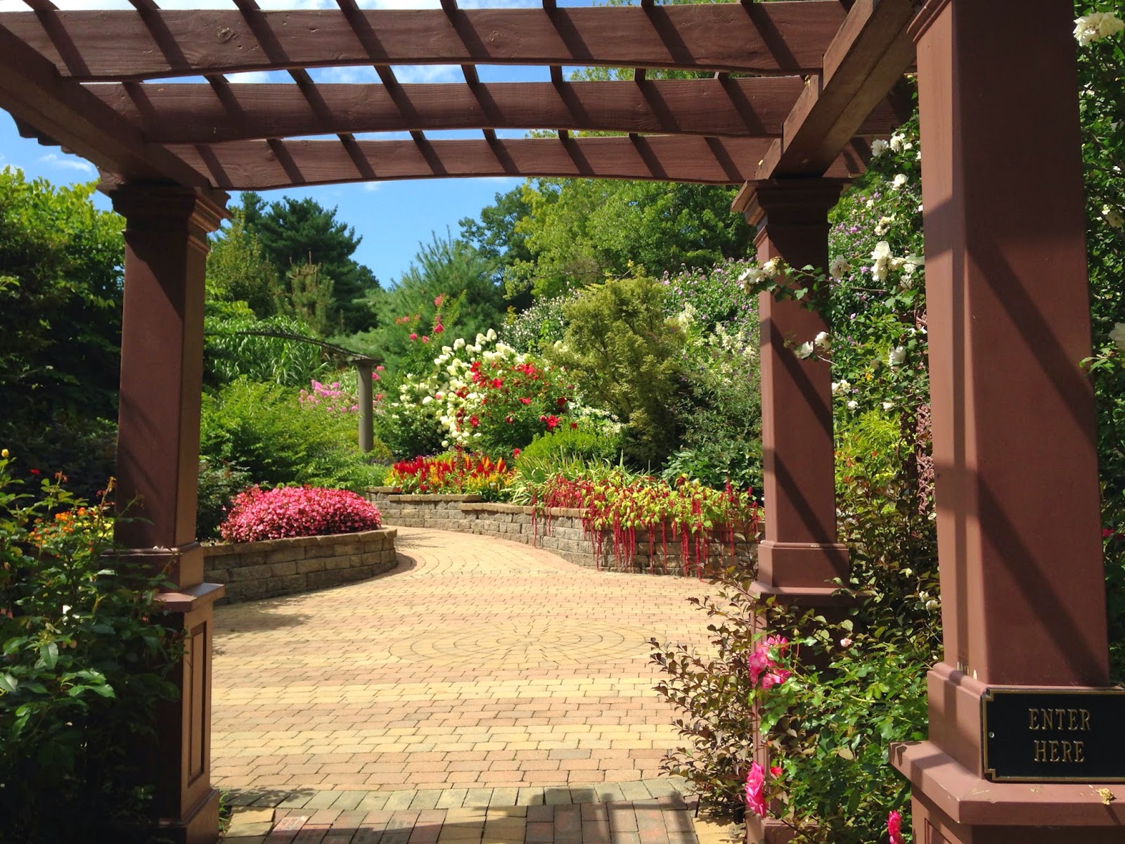 Reluctant Rebel Wickham Park So Close to Home