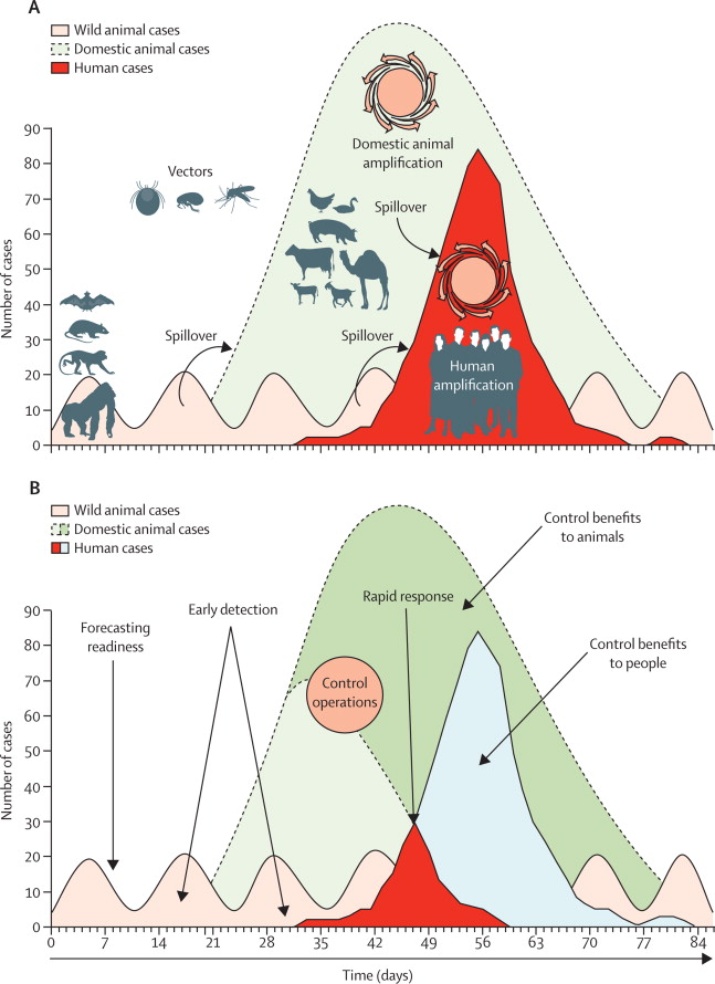 Scientia potentia est: What are zoonotic diseases? Pathogens that