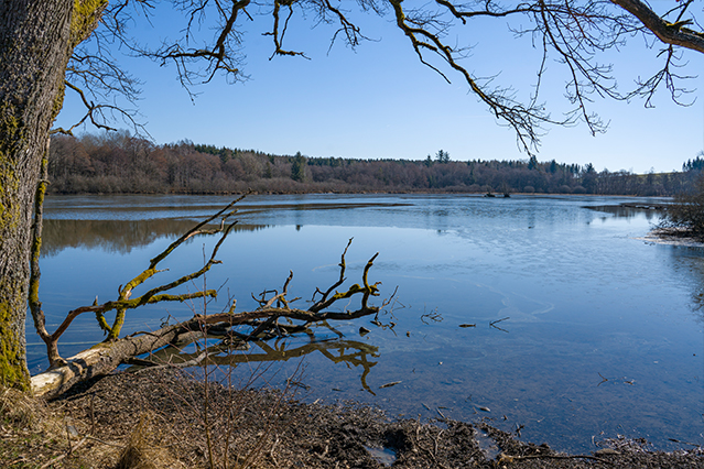 Drei-Seen-Tour Freiensteinau | Extratour Vogelsberg | Wandern in Hessen 01