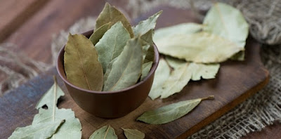 Τα «ιερά» φύλλα δάφνης με τα πολύτιμα οφέλη  