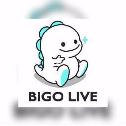 تحميل Bigo Live اخر تحديث للاندرويد والكمبيوتر