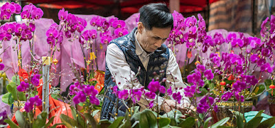 Dark-haired man surrounded by tall purple flowers-Hong Kong flower vendor-by Kelvin Yan on Unsplash
