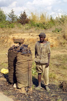 Tanzanie-vendeur charbon