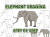   Elephant drawing for kids easy baby elephant drawing colour 