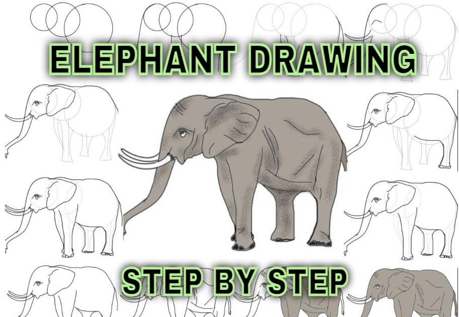 Elephant drawing for kids easy baby elephant drawing colour
