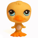 Littlest Pet Shop Seasonal Duck (#1062) Pet