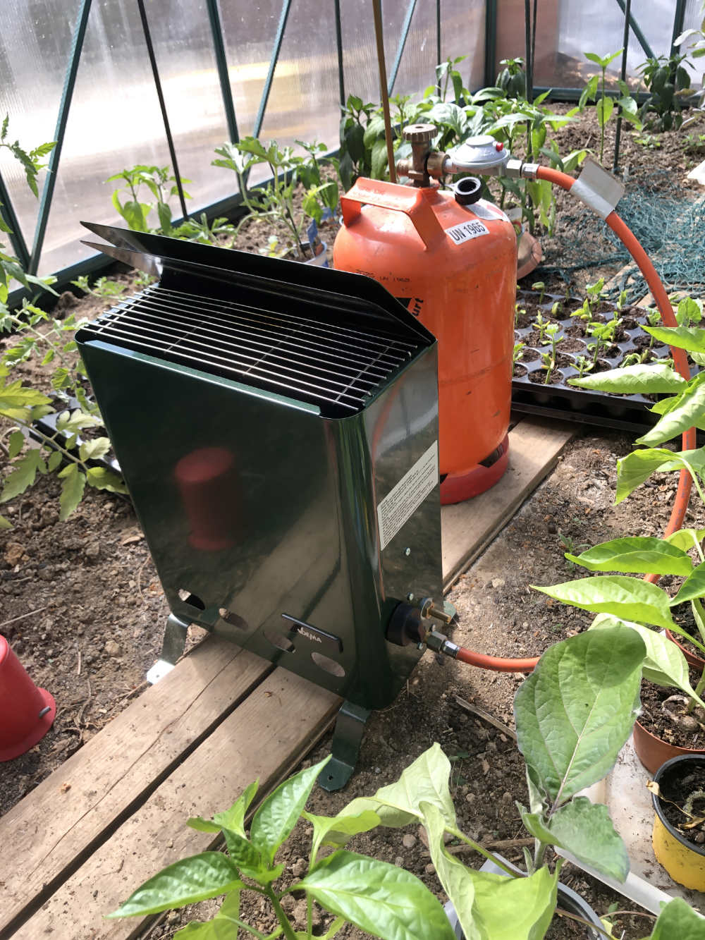 Gartenzone Frostschutz im Gewächshaus