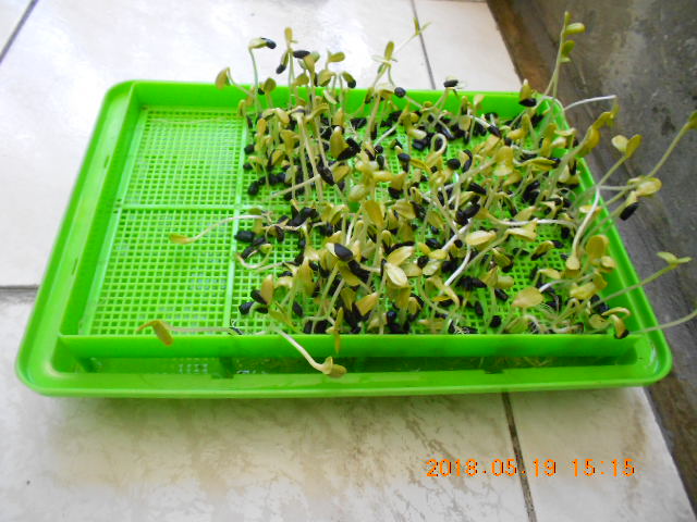 ����,����l,�g�A�V�鸪�ؤl,�V�鸪��Ϥ�,�V�鸪��,�V�鸪,�V�鸪�l,�V�鸪�ؤl,���L�Q�V�鸪�ؤl,�V�鸪��ؤl