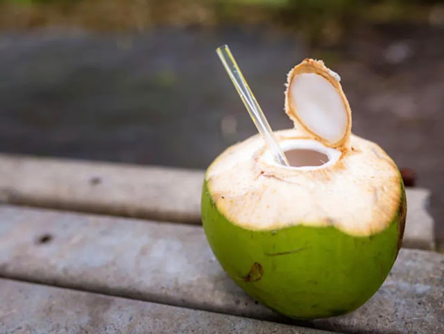 Benefits of coconut | Advantages, and disadvantages of coconut