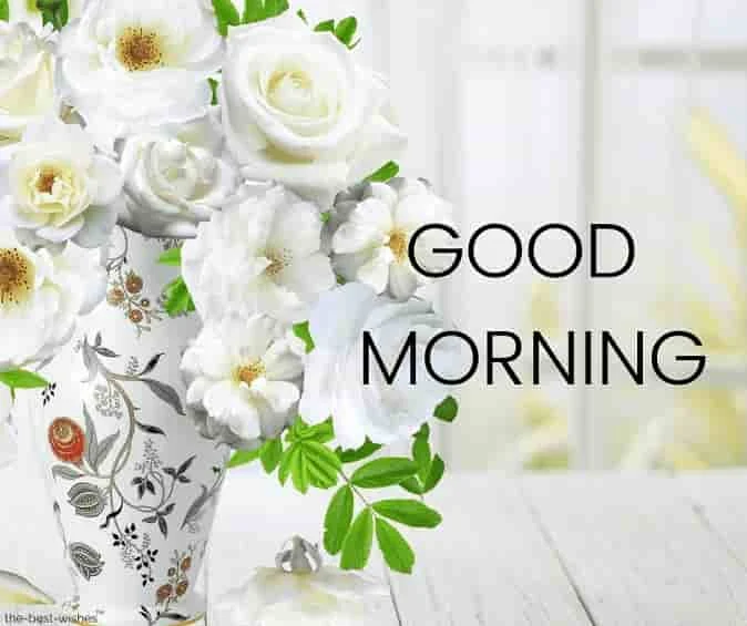 good morning wishes images with rose flowers vase