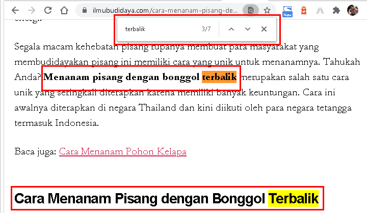 Riset Keywords Tanpa Tools riset-keywords-tanpa-tools