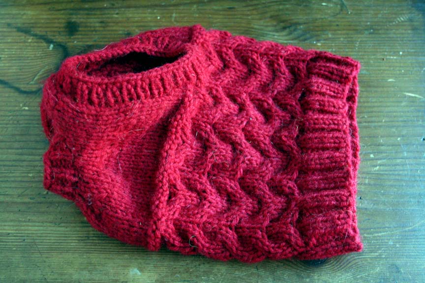 The Yarn Monkey Chronicles Feline Finery — A Cat Vneck Vest