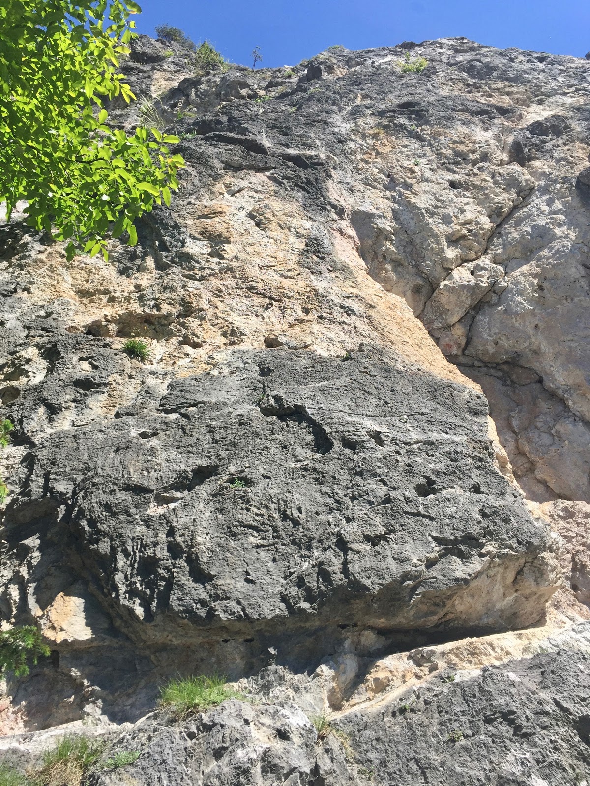 Startseite Viactiv Krankenkasse