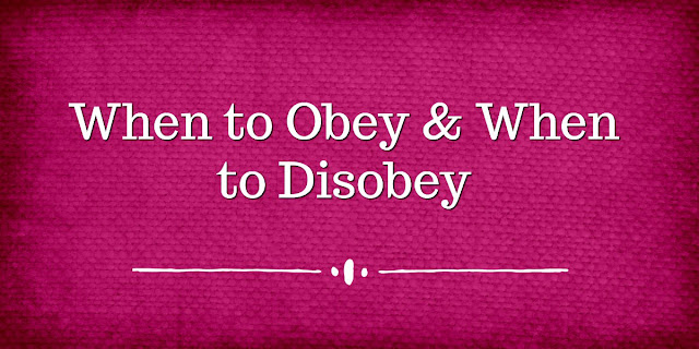 This short Bible study explains the scriptural guidelines for dealing with just and unjust governments, just and unjust laws.