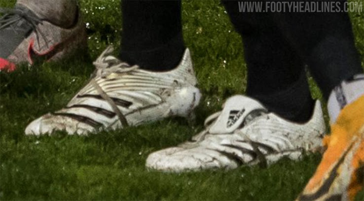 predator absolute for sale