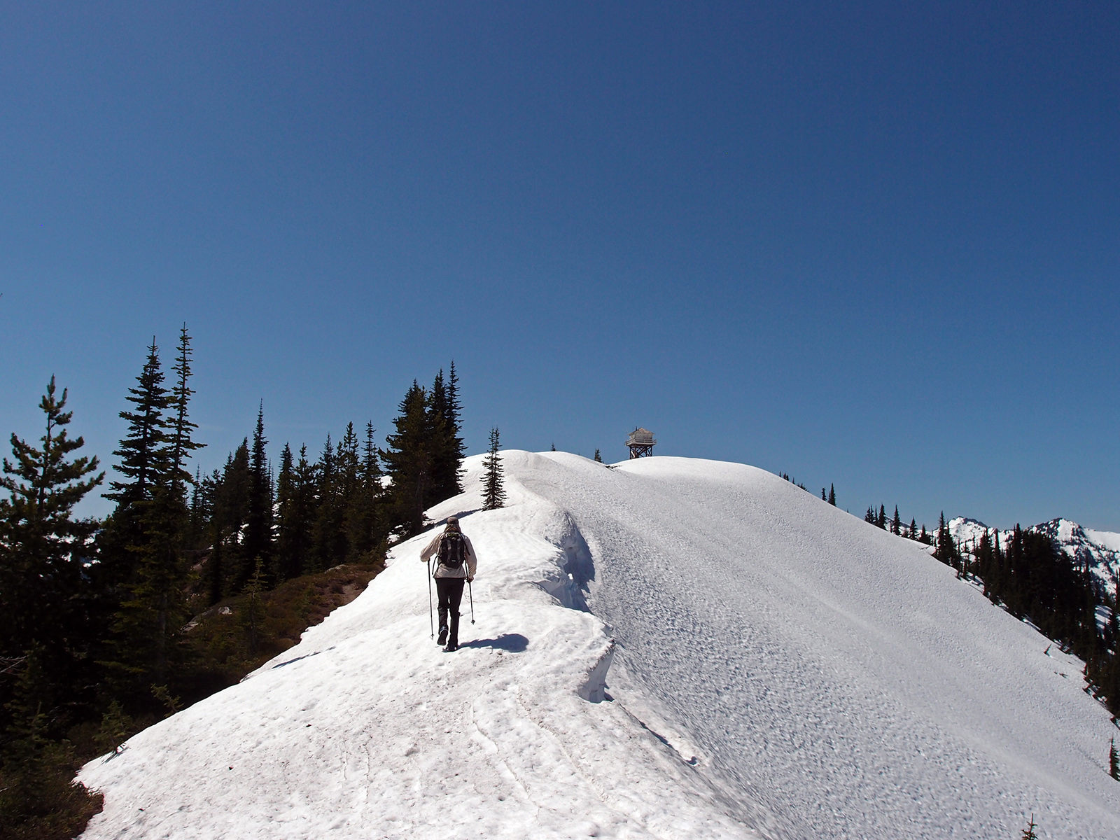 Seeking Ultra: Suiattle River and Miners Ridge, Glacier Peak Wilderness