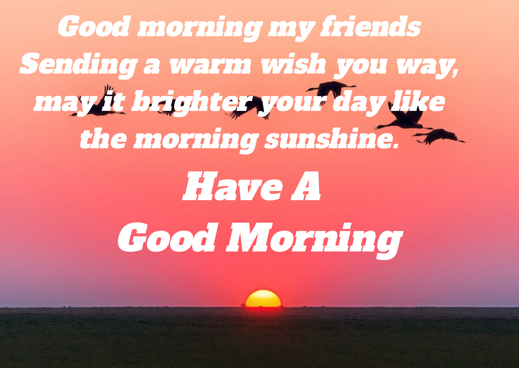 Beautiful good morning English wishes, status, massage,image, wallpaper,  pictures,