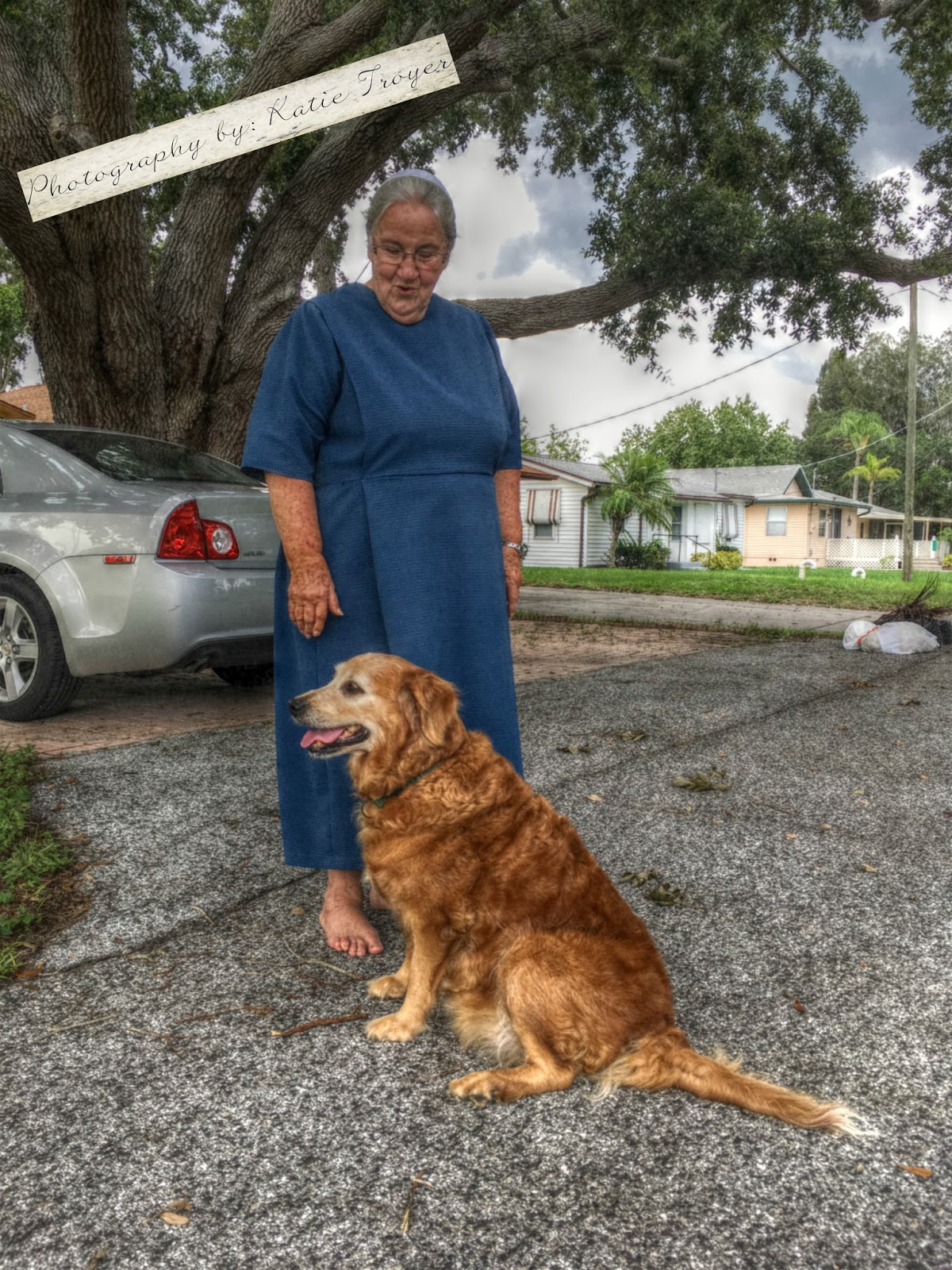 PinecraftSarasota Dog Sitter