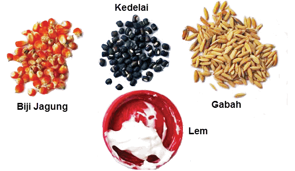 Membuat Mozaik Atau Kolase Unik Dari Bahan Biji Bijian Tugas Sekolah Ku