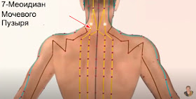Три обогревателя в теле человека что это. Смотреть фото Три обогревателя в теле человека что это. Смотреть картинку Три обогревателя в теле человека что это. Картинка про Три обогревателя в теле человека что это. Фото Три обогревателя в теле человека что это Три обогревателя в теле человека что это. Смотреть фото Три обогревателя в теле человека что это. Смотреть картинку Три обогревателя в теле человека что это. Картинка про Три обогревателя в теле человека что это. Фото Три обогревателя в теле человека что это