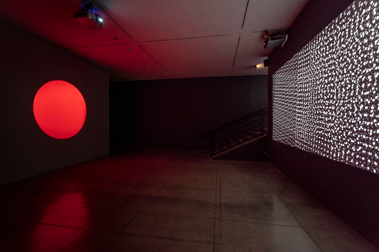 magdalena fernández In L.A., Female Video Artists Reign. New York